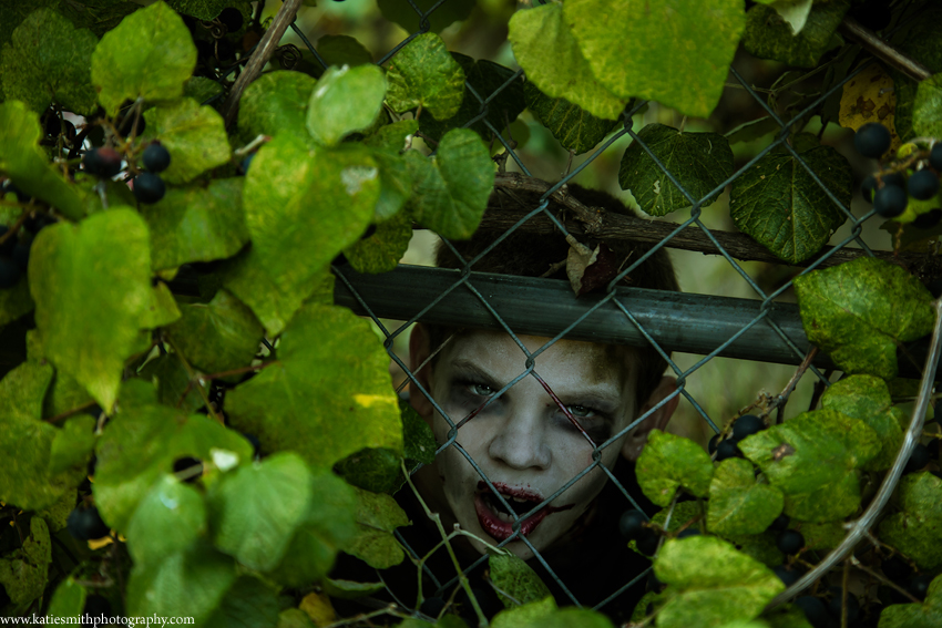 Zombie Fence Pose