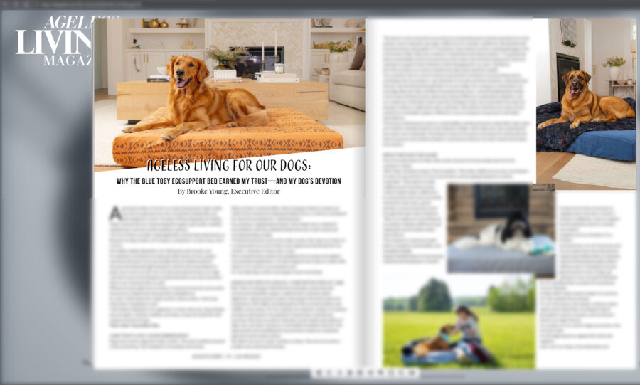 A blurred magazine spread showcasing images of dog beds taken at a brand photography photo session.